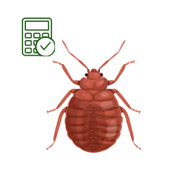 Bed Bug Removal Cost