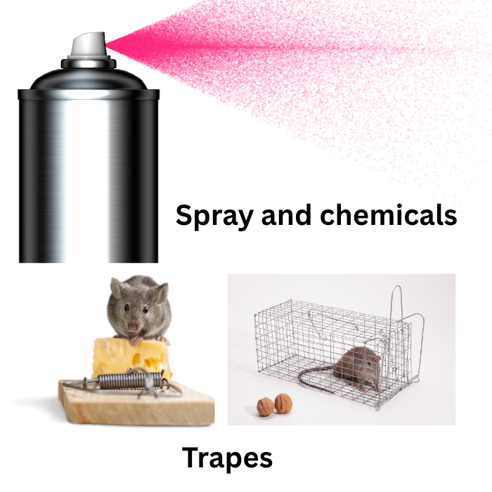 pest control Spray cost