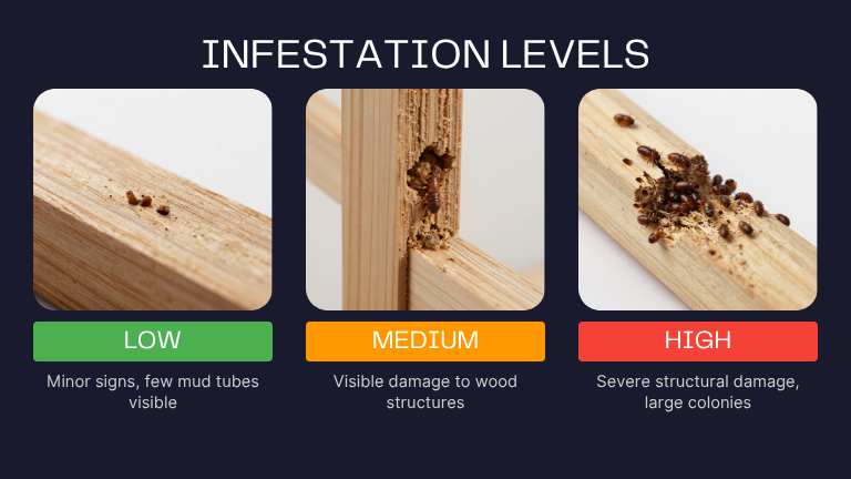 home 15 Cost by Infestation Level