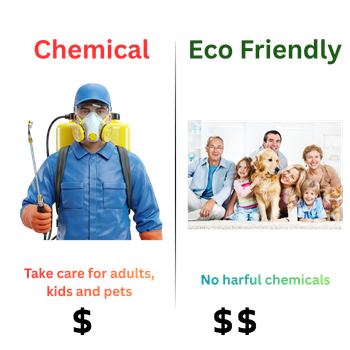 home 22 Eco Frinedly