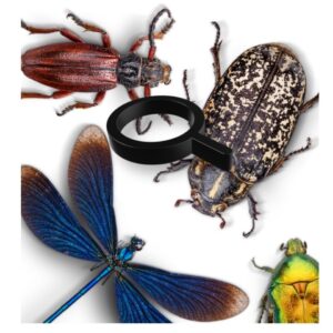Pest Detector